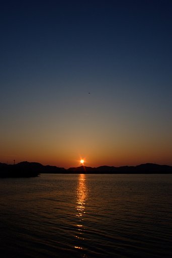 今日は