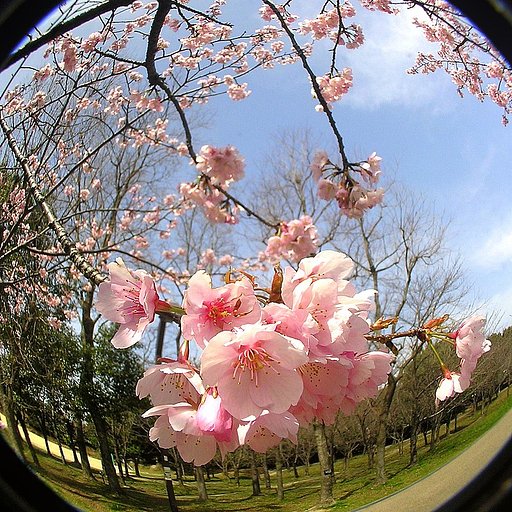 その名の如く