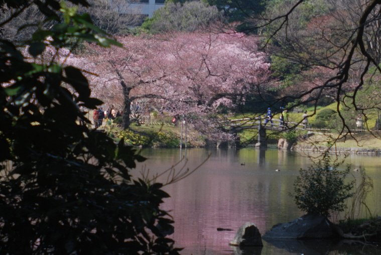 小石川後楽園