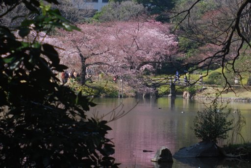 小石川後楽園