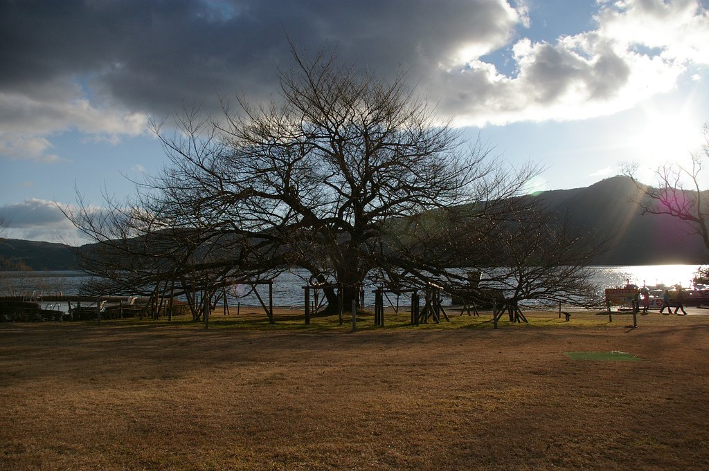 箱根