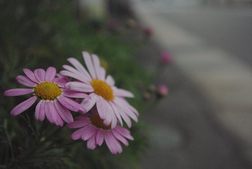 初めまして