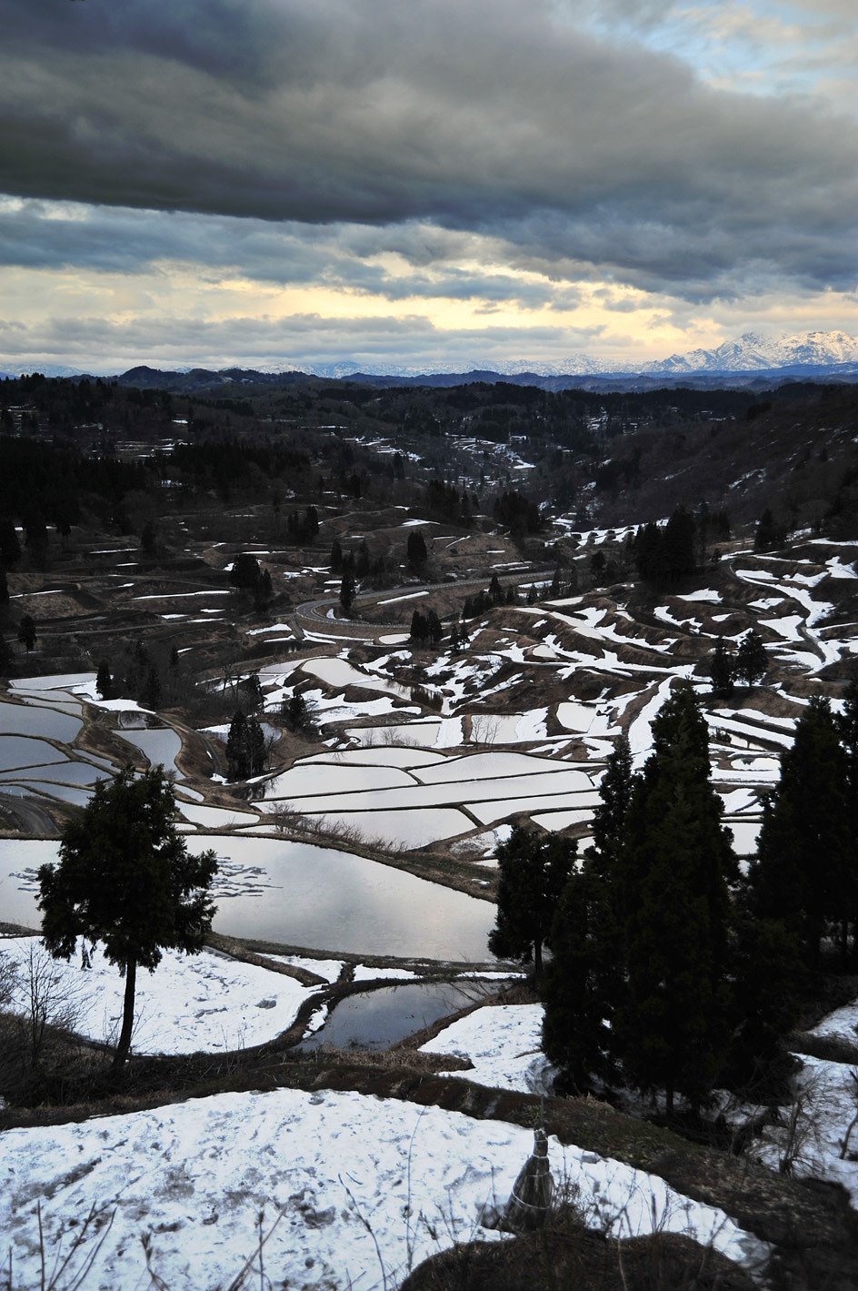 峠の棚田