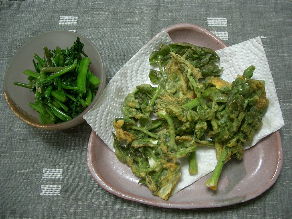 〜タラの芽の天麩羅〜