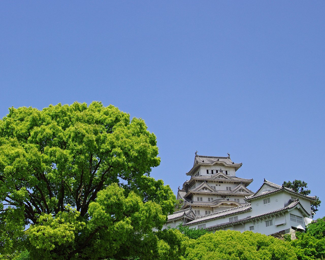 結局