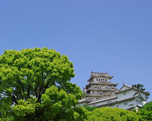 結局