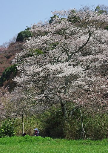 昼休み