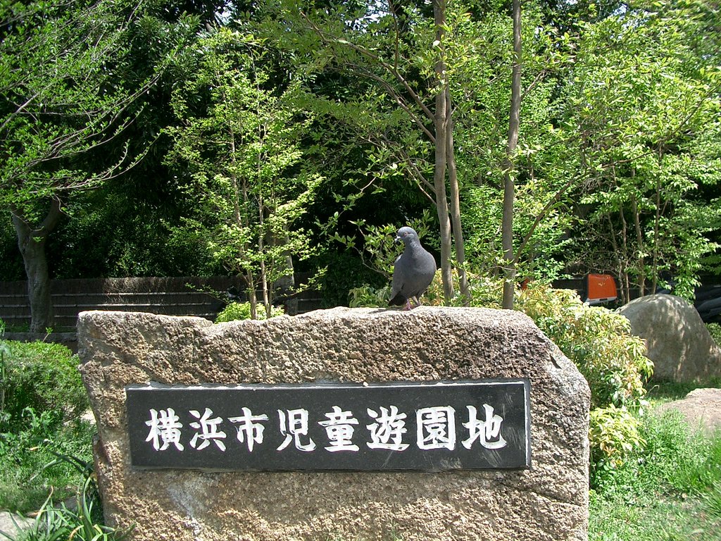 〜鳩のお出迎え〜