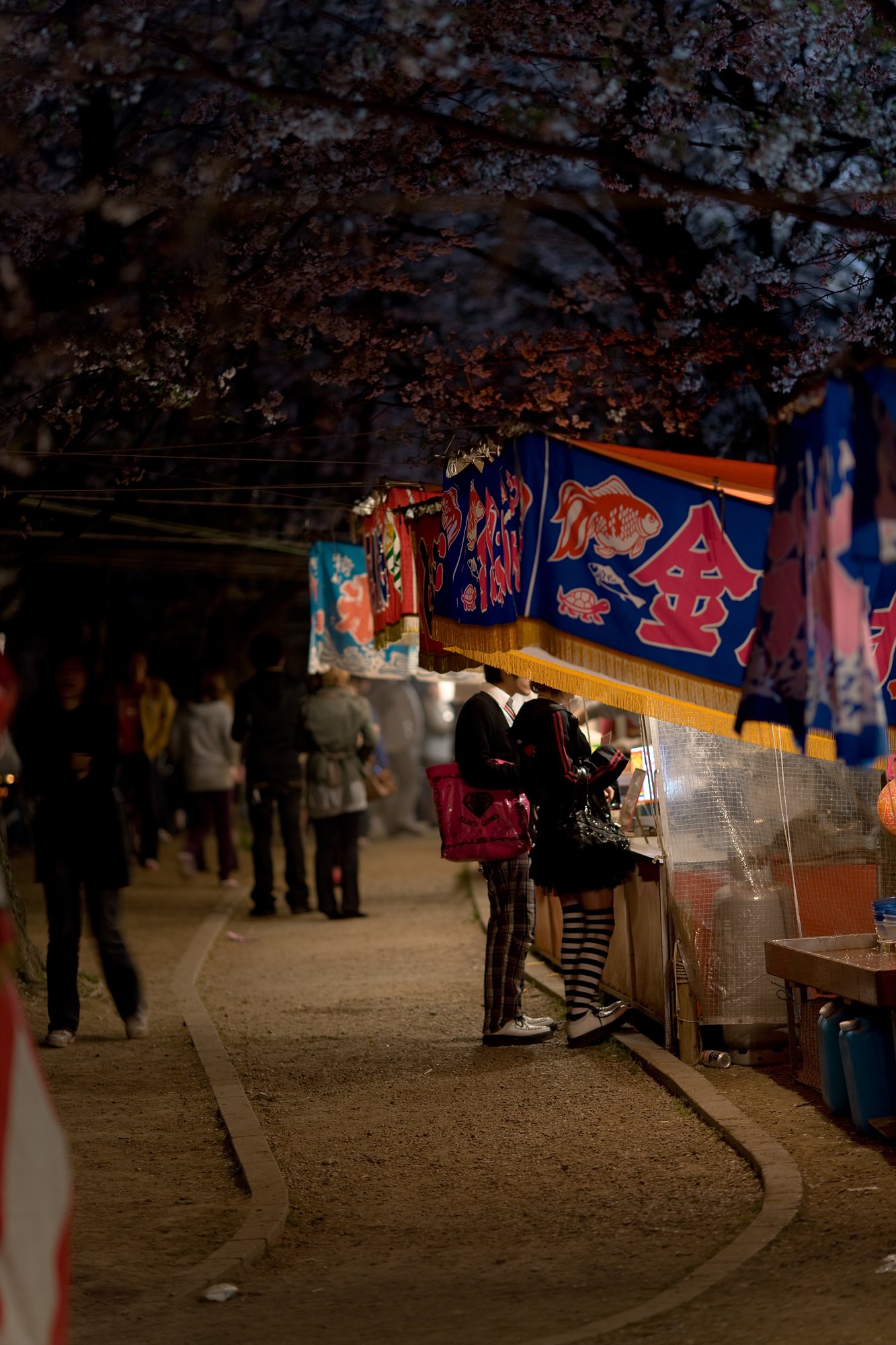 夜桜と