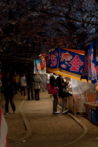 夜桜と