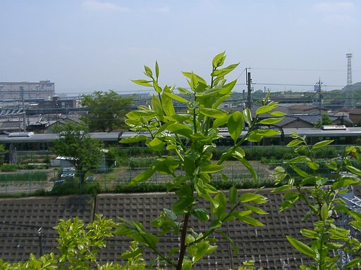 おんぼろQV2900UX