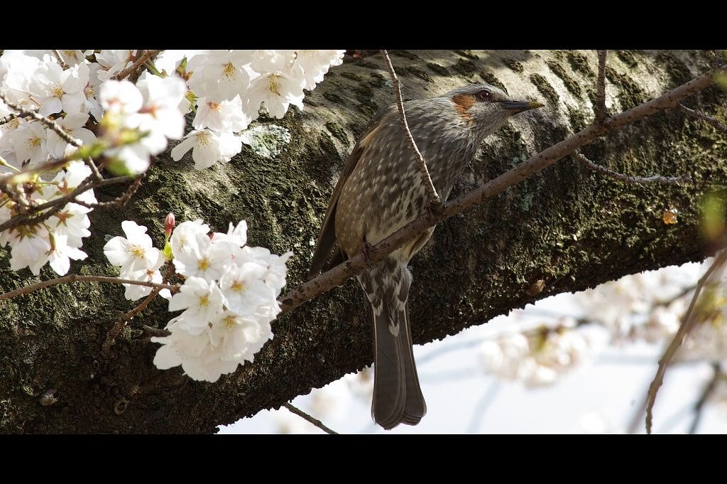 よい季節になりました