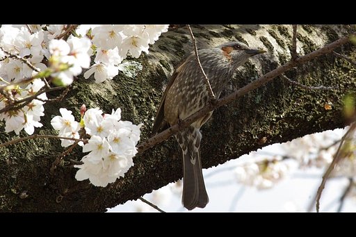 よい季節になりました