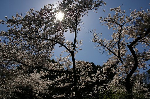 スポットライト