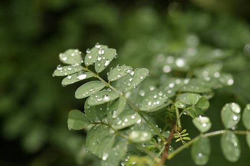雨ですねぇ・・・