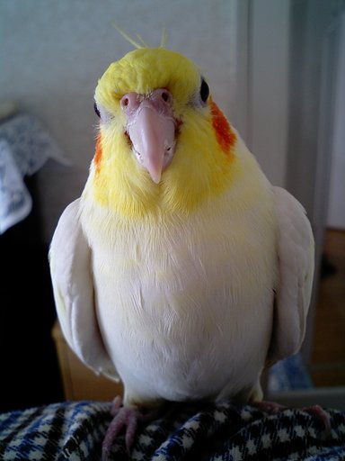 11月6日の写真