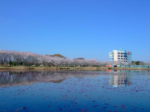 公園・・・