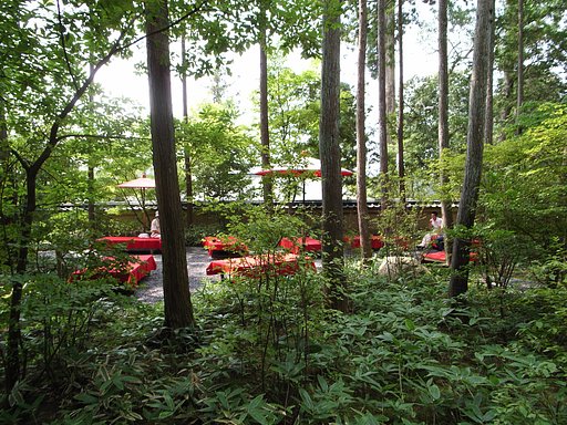 「赤」森の中で一休み