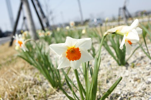 24-70mmF2.8ZA SSM