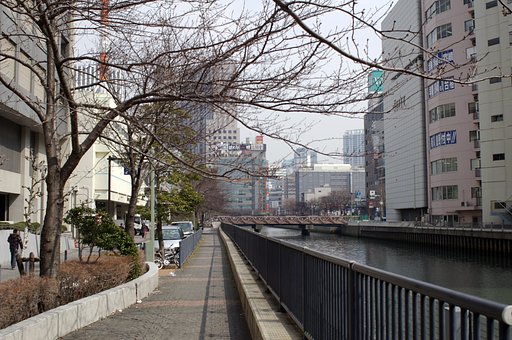 【赤】い桜は無い