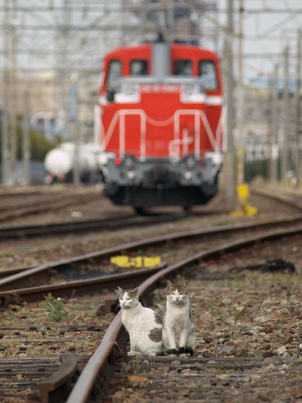 小さな操車さん