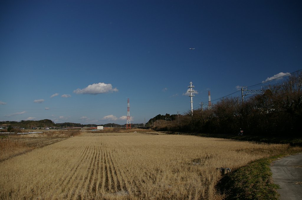 冬の青空
