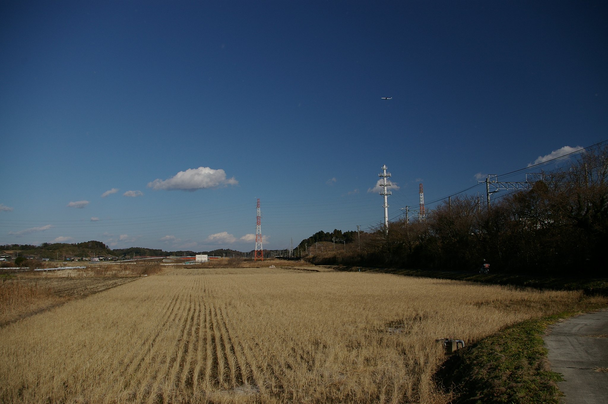 冬の青空