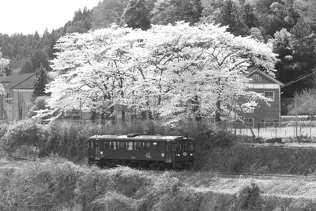 渡良瀬渓谷鉄道