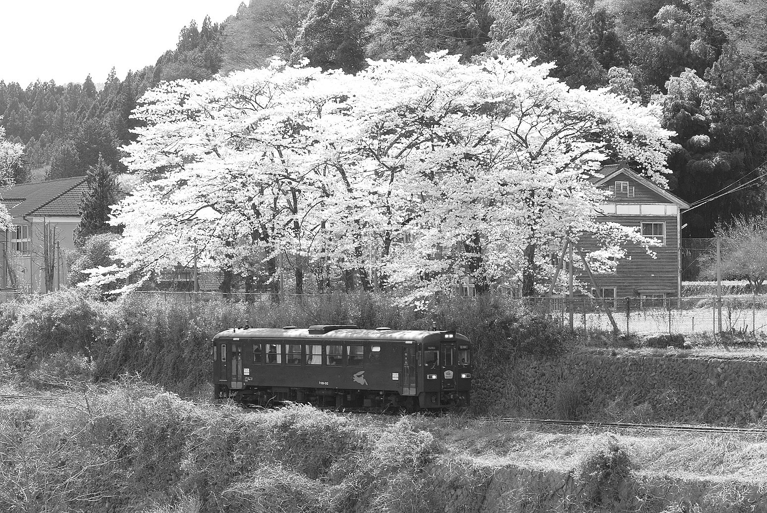渡良瀬渓谷鉄道