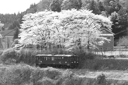 渡良瀬渓谷鉄道
