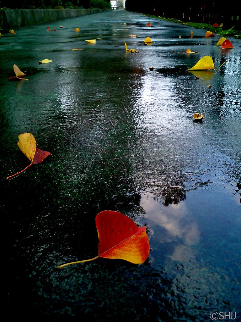 雨のち・・・