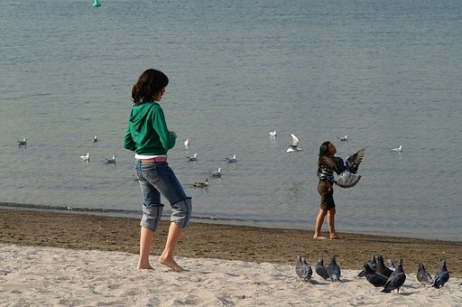 『緑』浜辺で遊ぶ