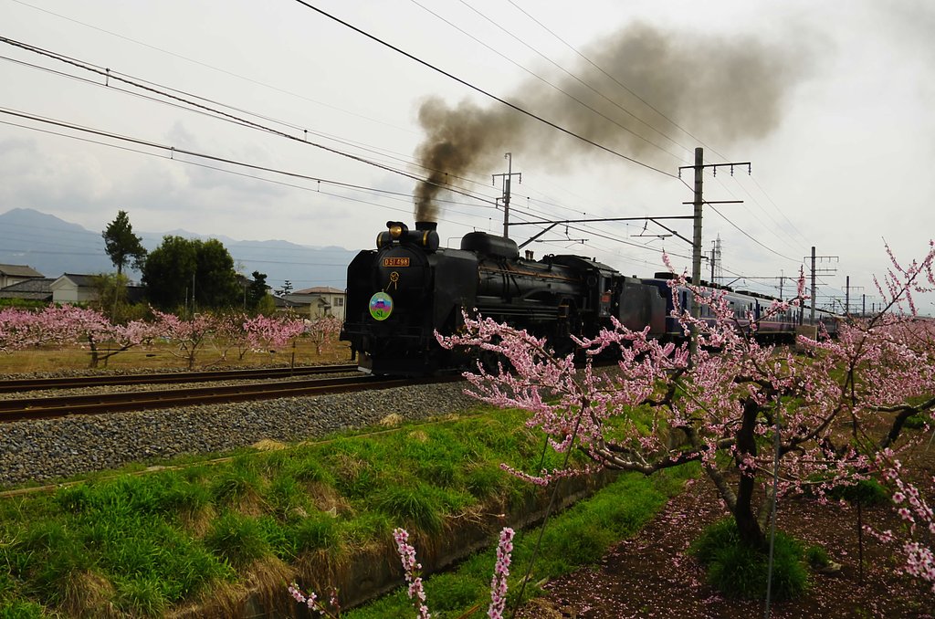 D51桃源郷を行く