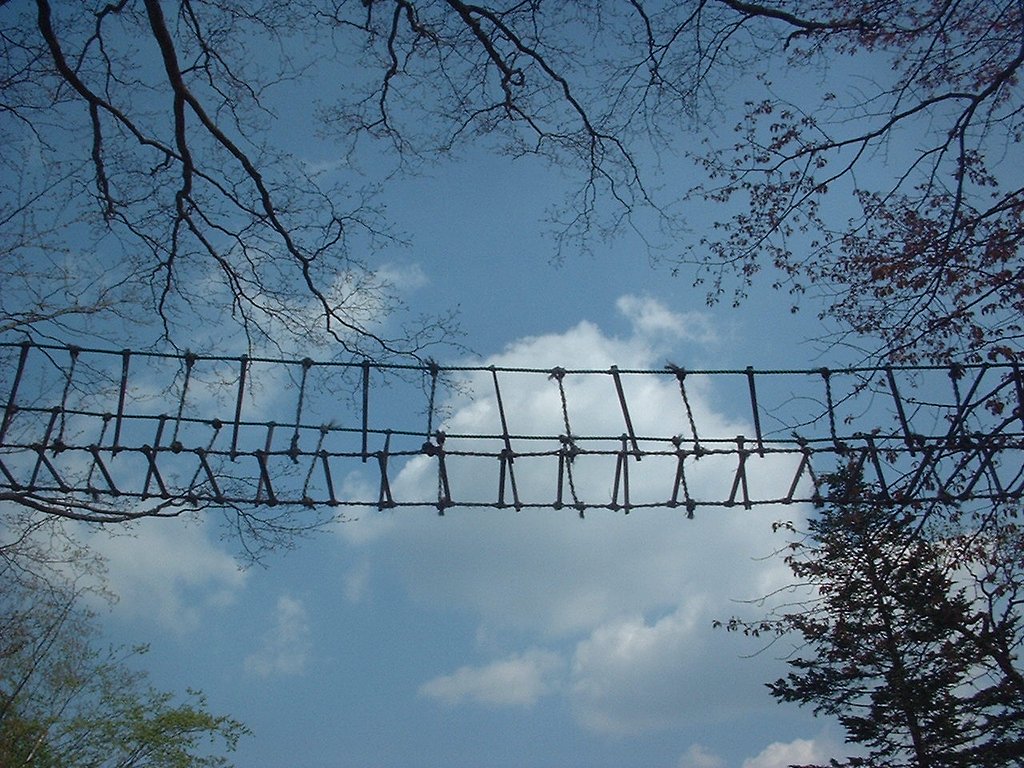 橋