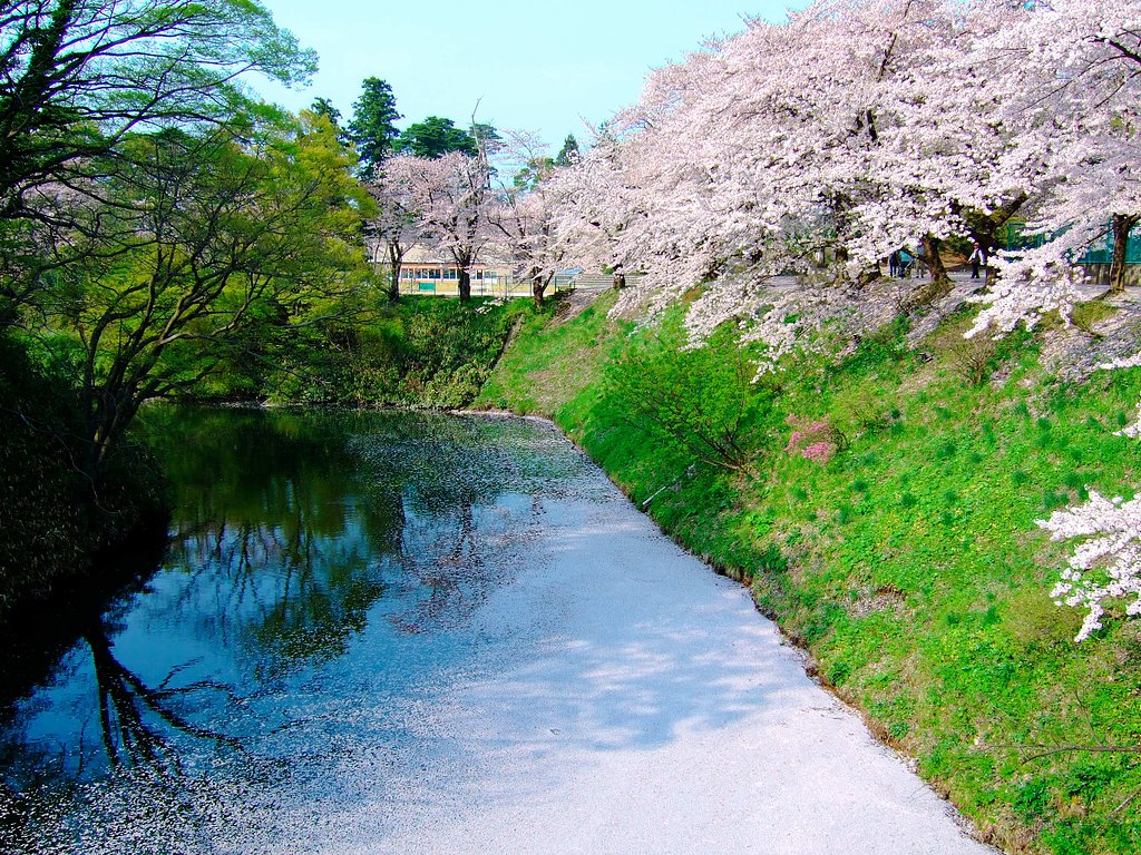 散り積もって・・・