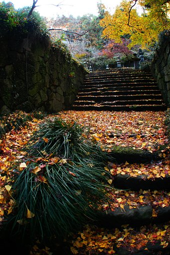 近くのお寺で