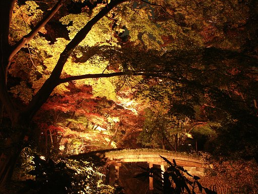 六義園ライトアップ延長