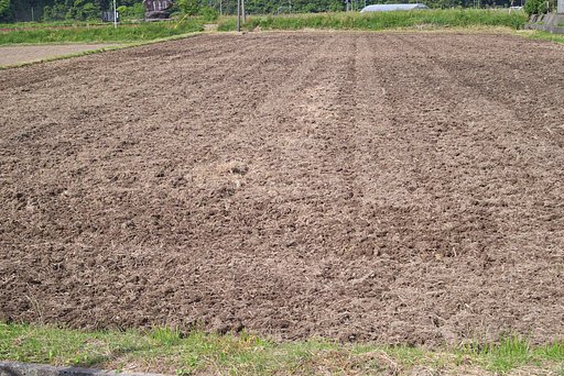 二度目の田んぼの耕しです。