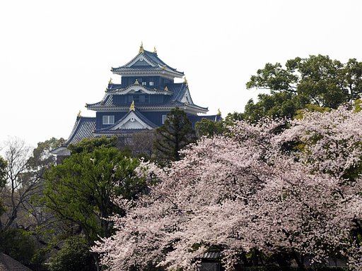 桜と城