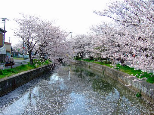 新川・・・
