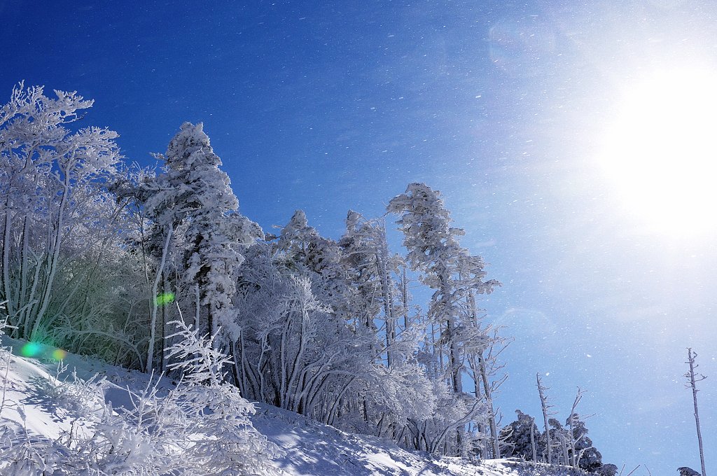SUN & SNOW