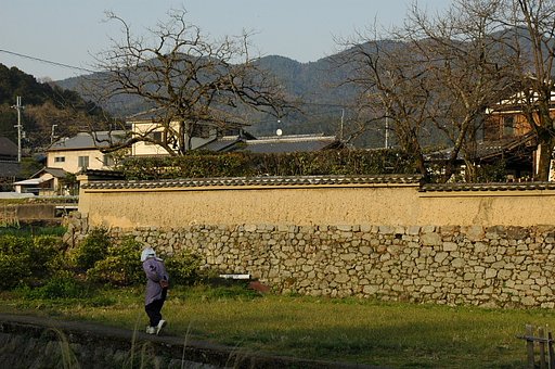 石垣のある風景