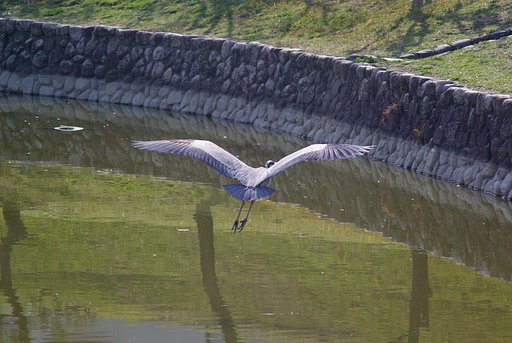滑空2