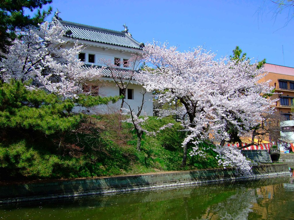 城跡・・・