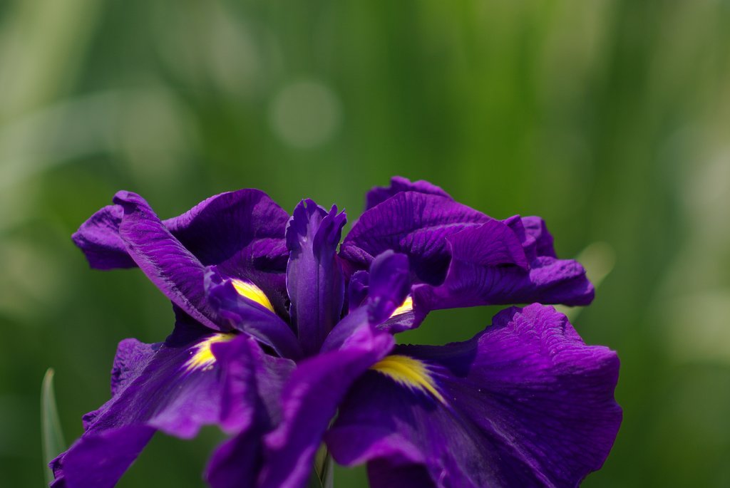 Super-Multi-Coated TAKUMAR/6X7 150mm F2.8