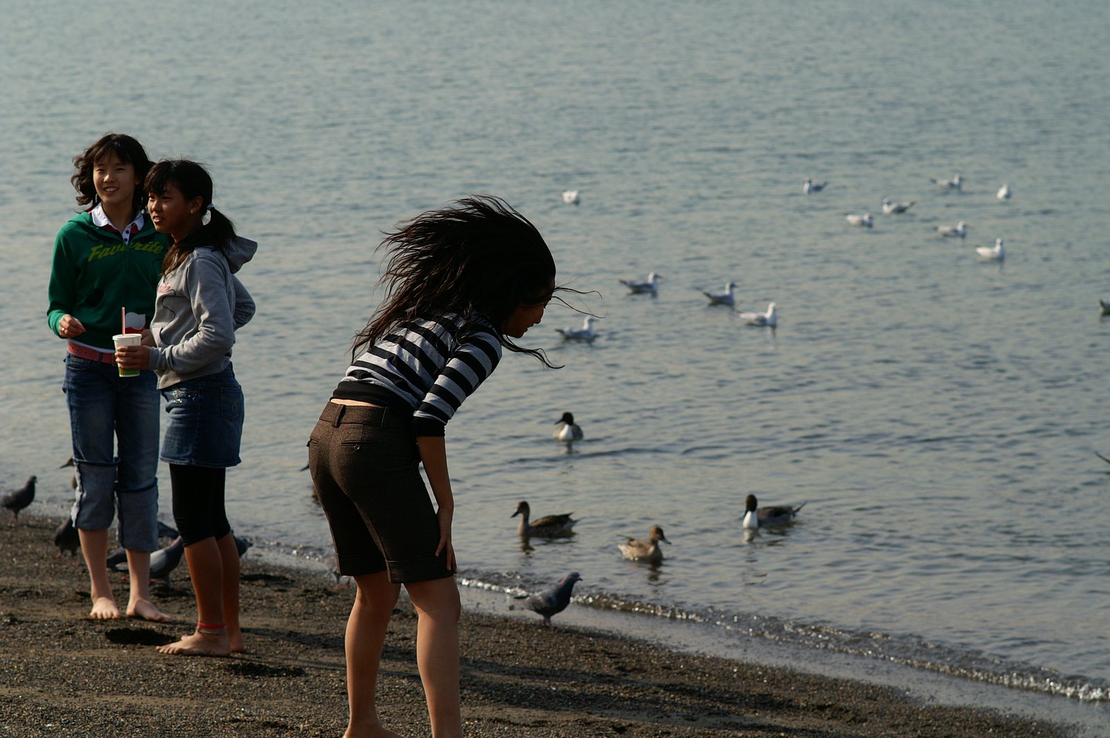 『緑』浜辺で遊ぶ〜２