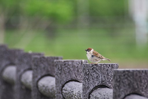 アーチにたたずむ