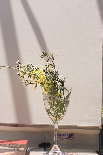 ブツ取り系？