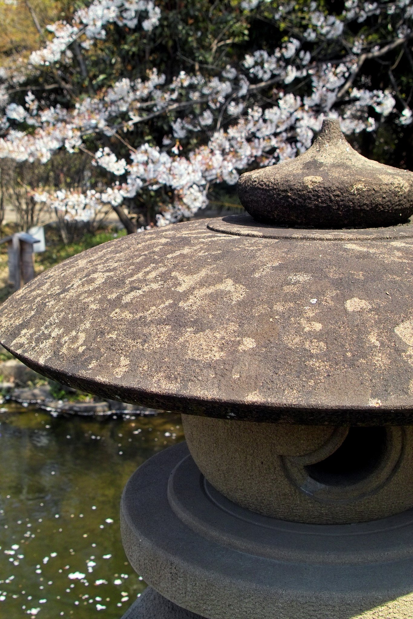 偏見はいかん