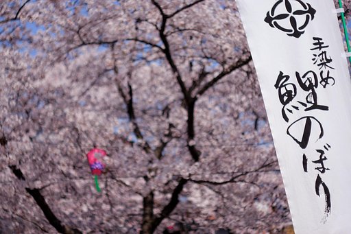 【緑】　手染め鯉のぼり